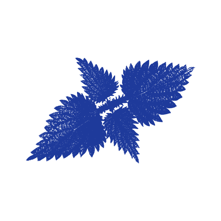 04 HH IMAGERY NETTLE 768x768