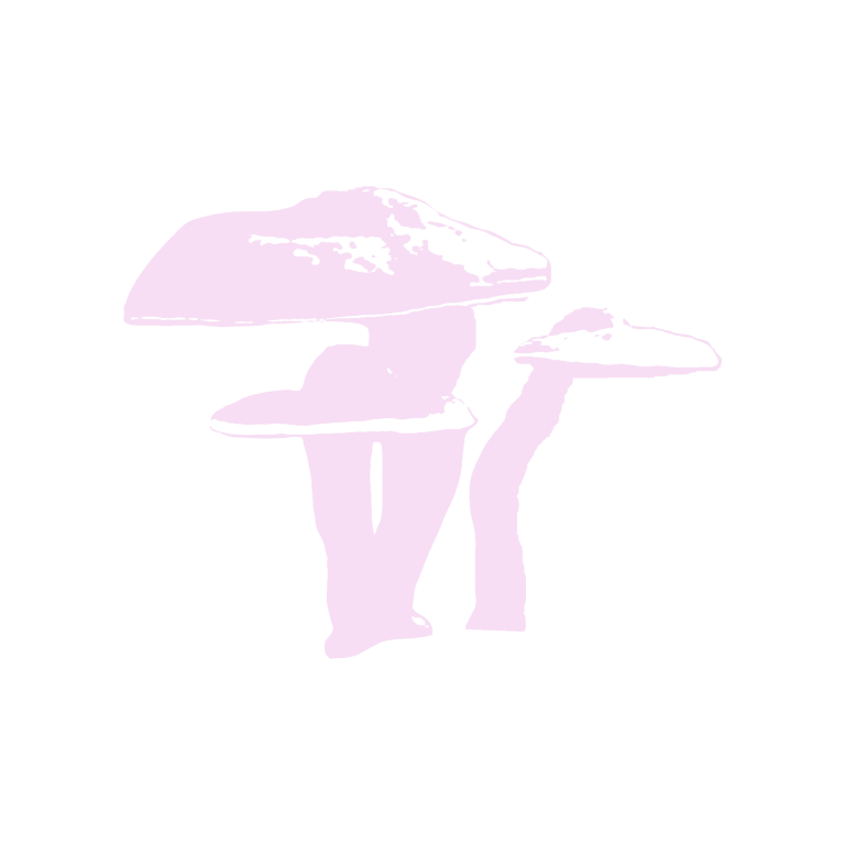 06 HH IMAGERY REISHI 768x768