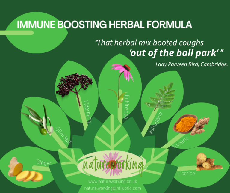 Immune boost tincture 768x644