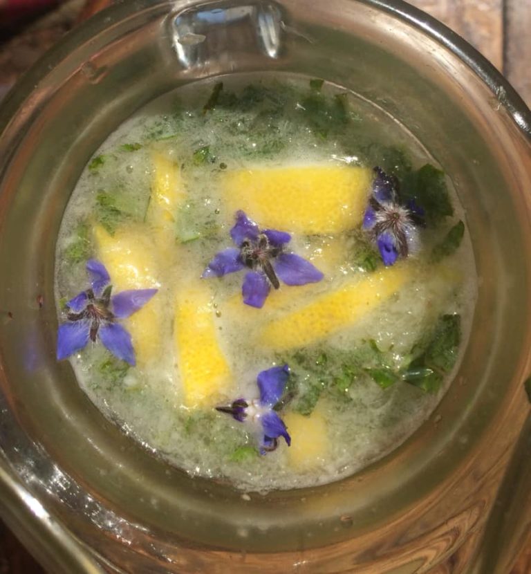 borage and lemon tea 768x830