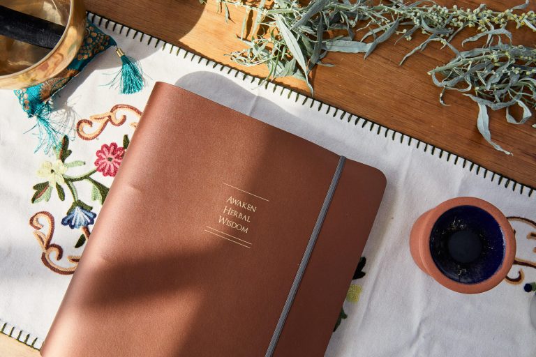 Herbal medicine course in Yorkshire 768x512